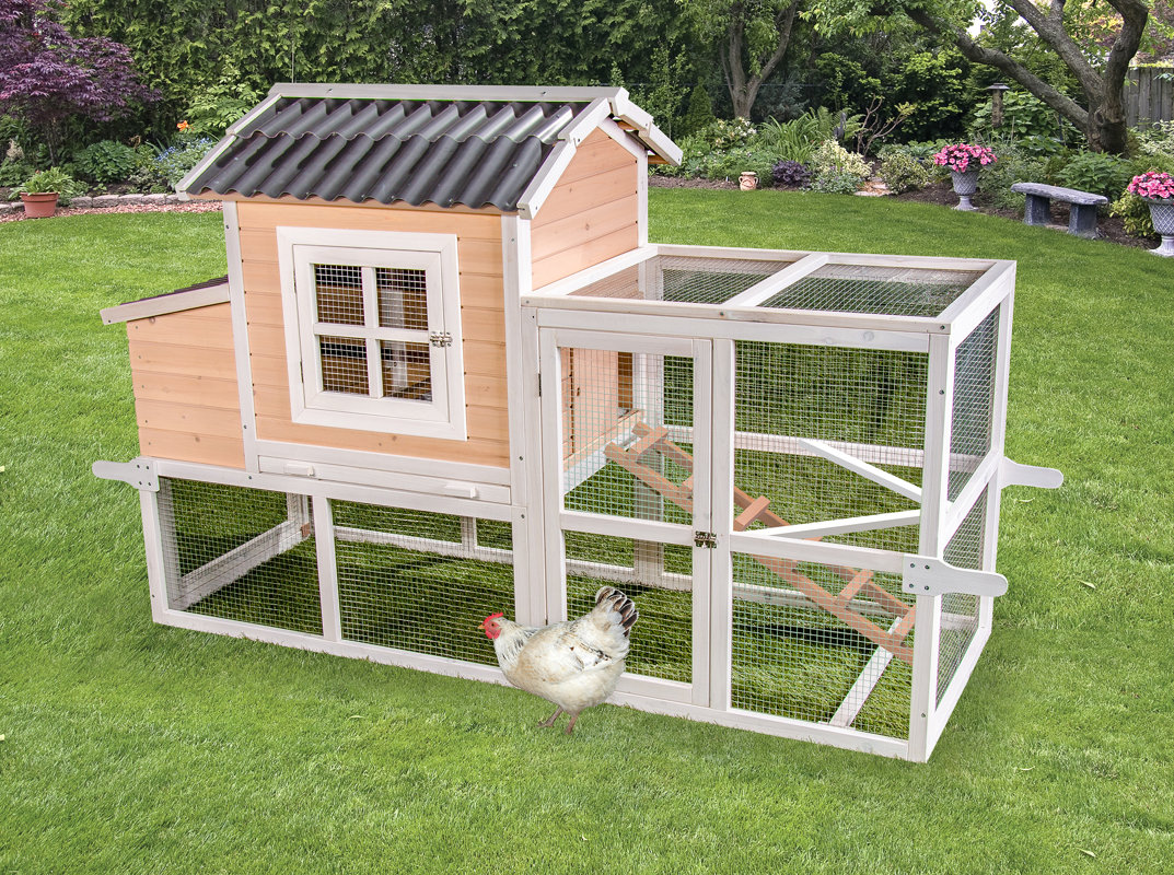 Country Chicken Coops best chicken house